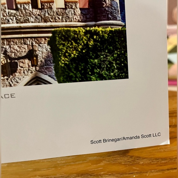 Disney World Cinderellas Castle North Face Art Print 15.5” x 11” - Picture 4 of 6